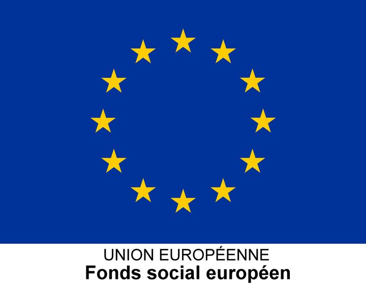 Drapeau européen — Wikipédia